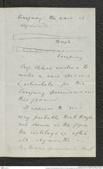 Nachlass Franz Steindachner, Brief von E. Ray Lankester an Franz Steindachner (27.04.1895), Inv.Nr. 290.02, Seite 3